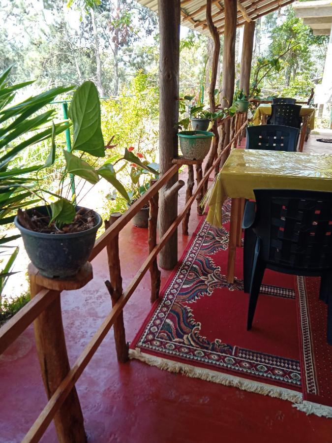 New Rose Villa Bandarawela Ella Eksteriør billede