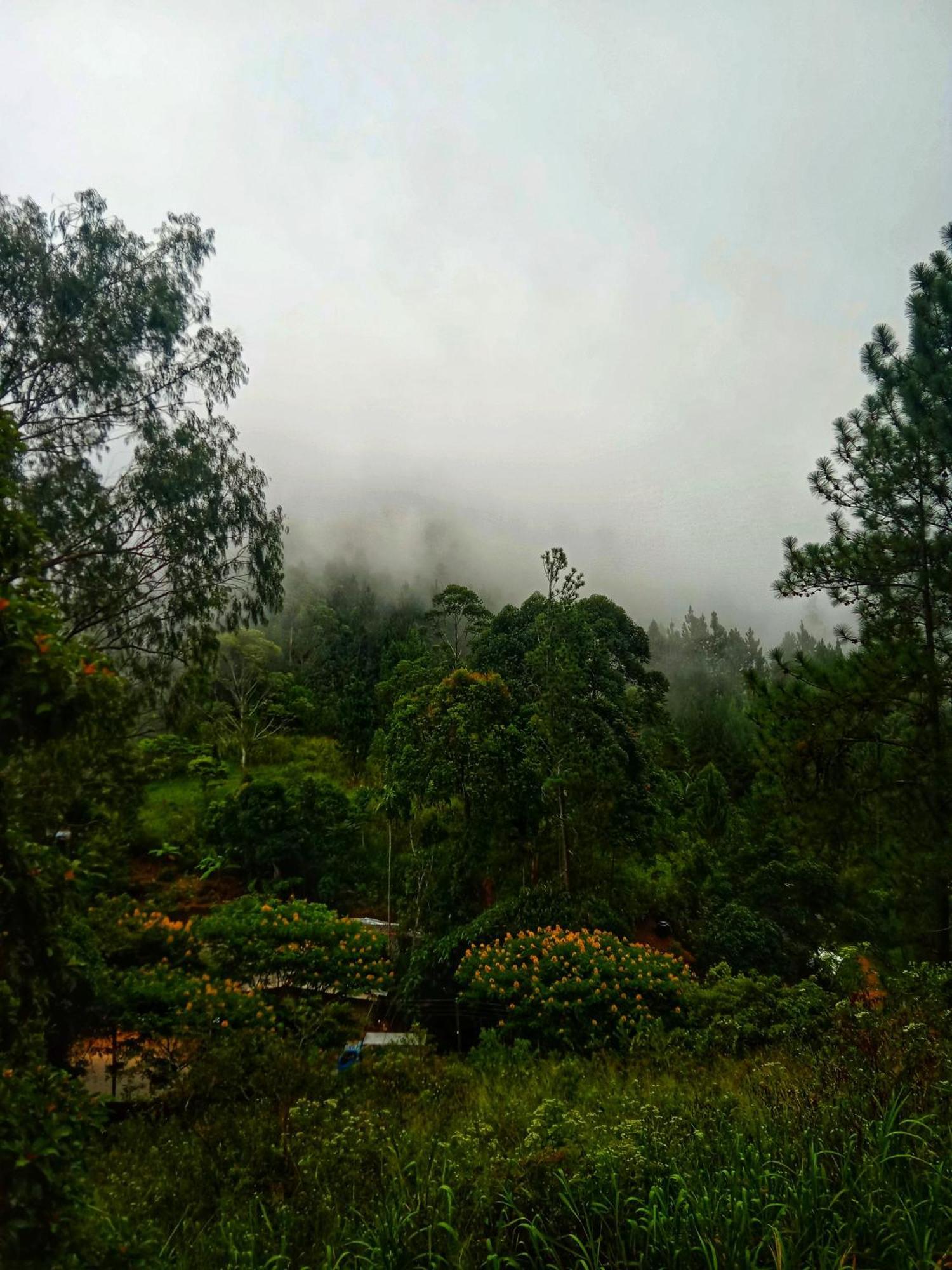 New Rose Villa Bandarawela Ella Eksteriør billede