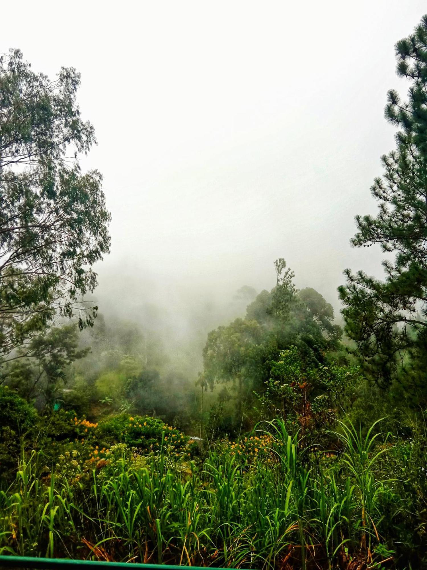 New Rose Villa Bandarawela Ella Eksteriør billede