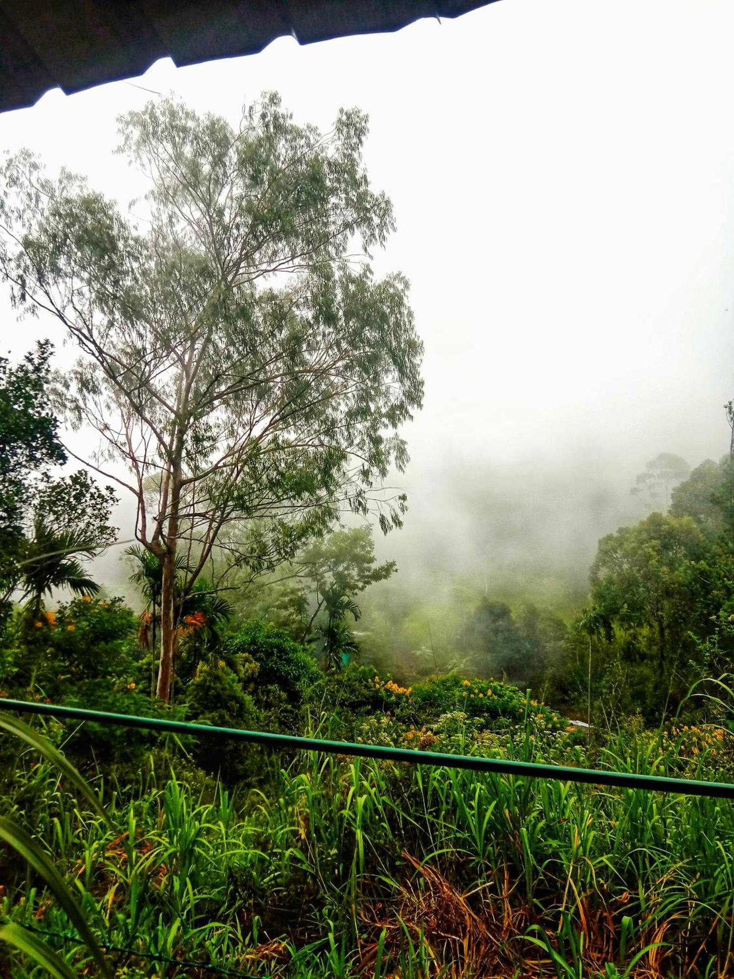 New Rose Villa Bandarawela Ella Eksteriør billede