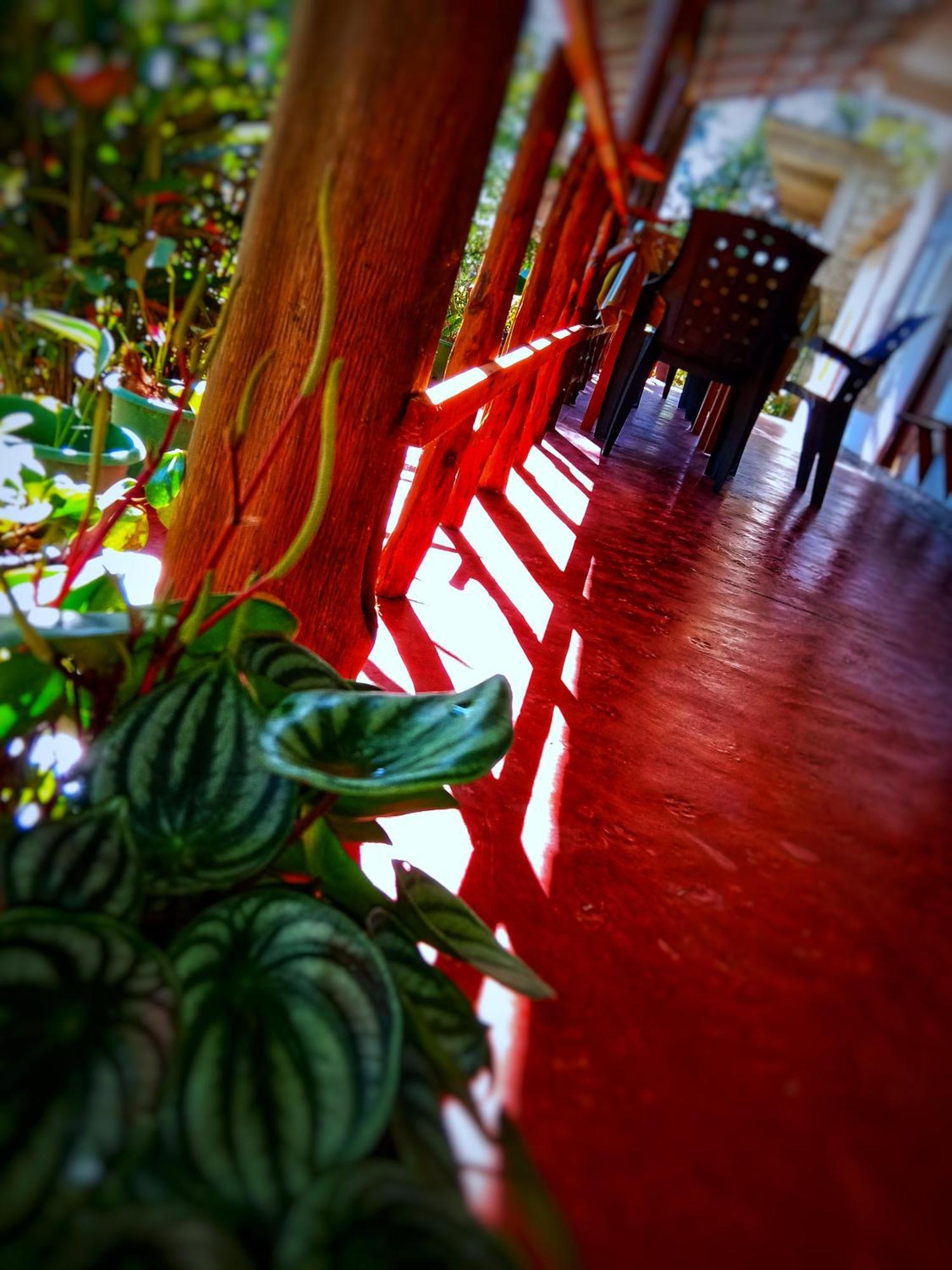 New Rose Villa Bandarawela Ella Eksteriør billede