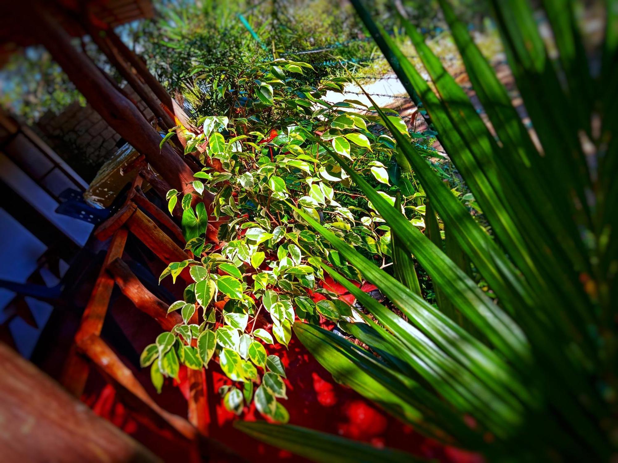 New Rose Villa Bandarawela Ella Eksteriør billede