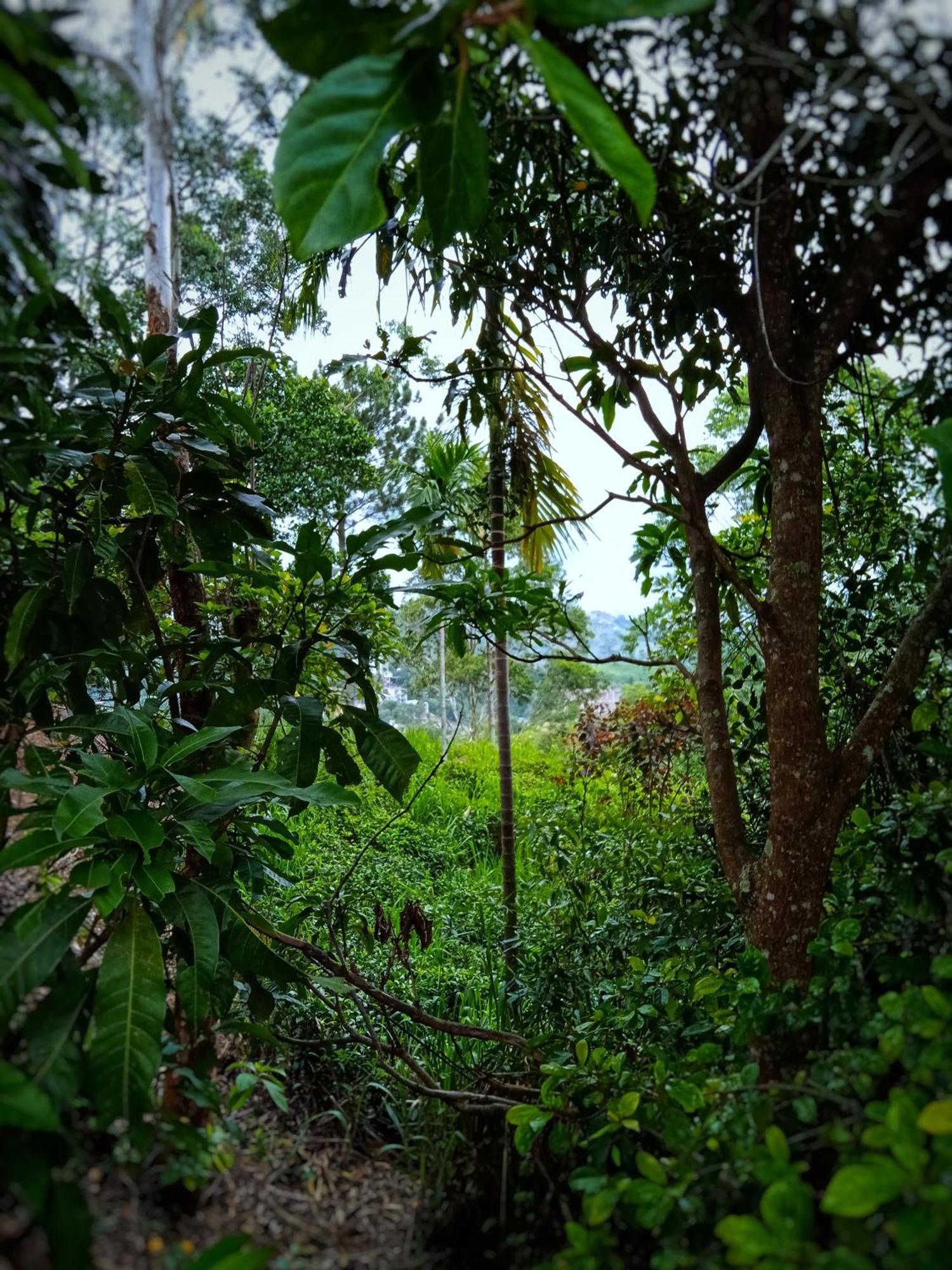 New Rose Villa Bandarawela Ella Eksteriør billede