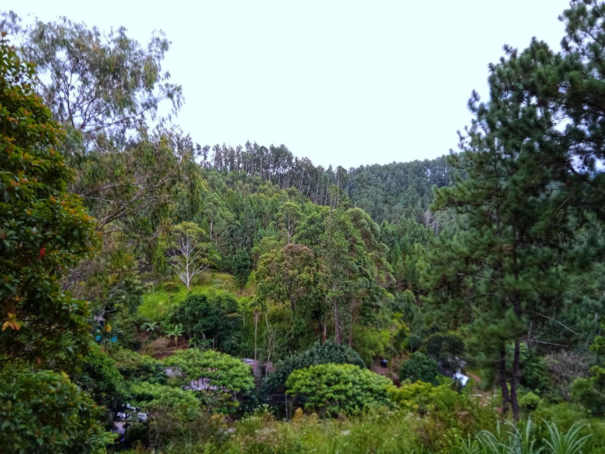 New Rose Villa Bandarawela Ella Eksteriør billede