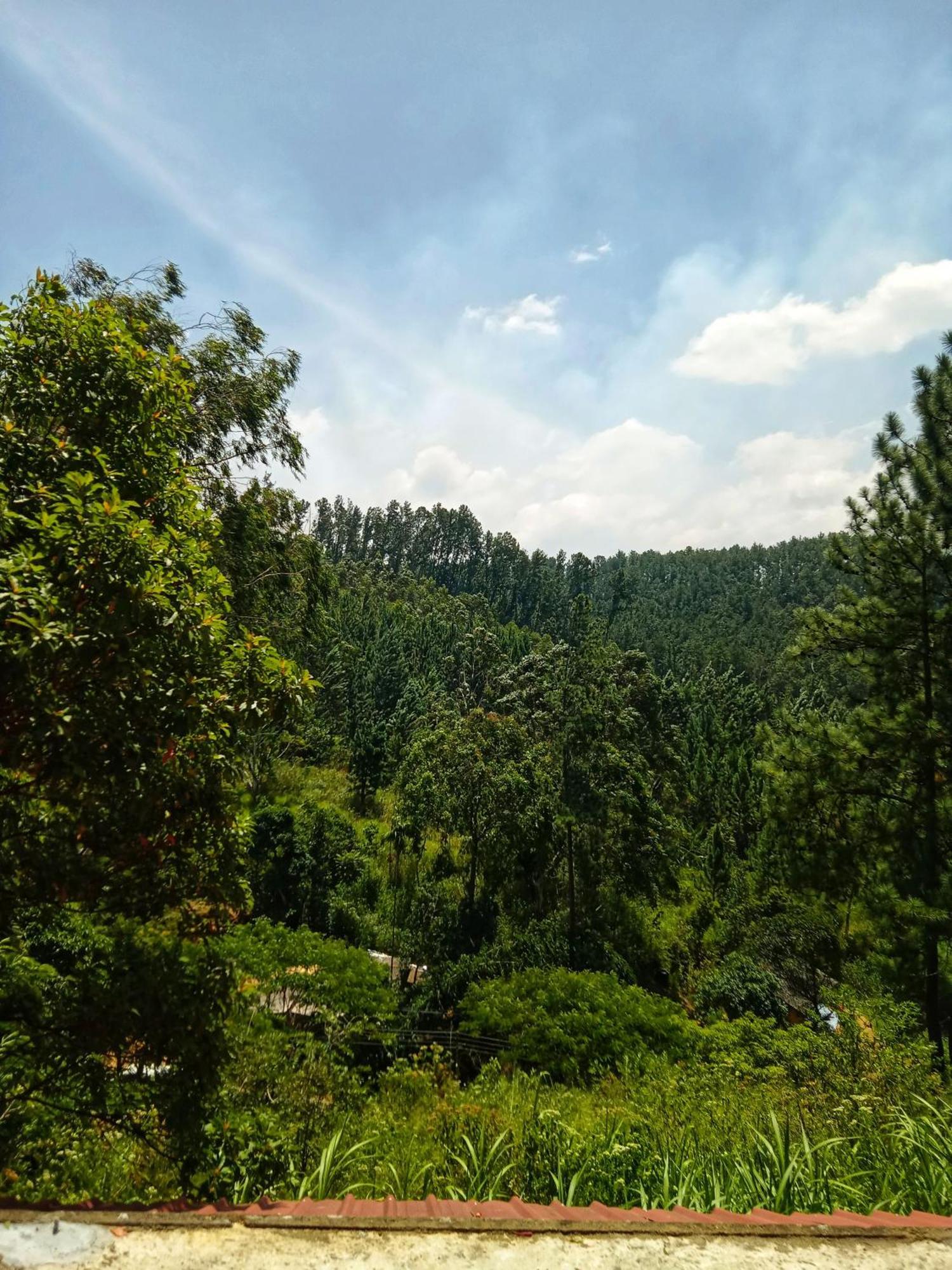New Rose Villa Bandarawela Ella Eksteriør billede